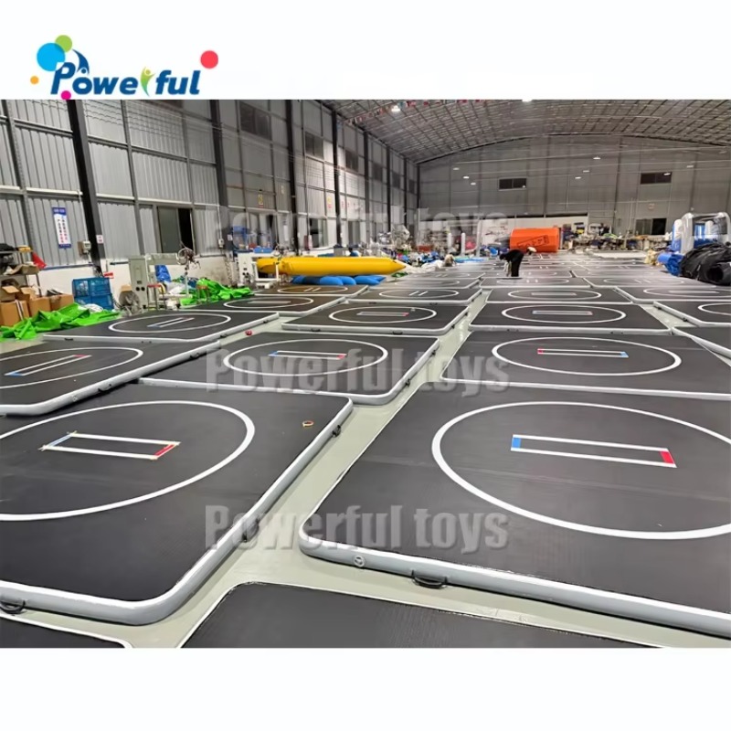 Premium Inflatable Wrestling a - Home Gym Mma 评论和价格