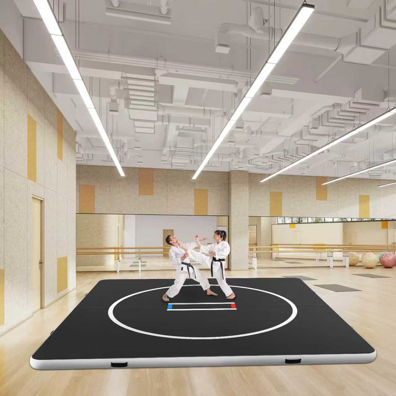 Custom Size 3x3m Commercial Gr - Home Gym Mma 评论和价格