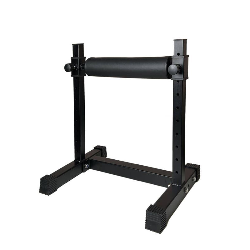 Adjustable Single Leg Squat St - Home Gym Workout Equipment 评论和价格