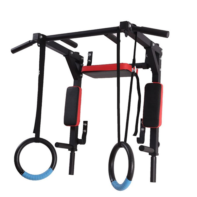 Heavy Duty Wall Mounted Parall - Home Gym Wall 评论和价格