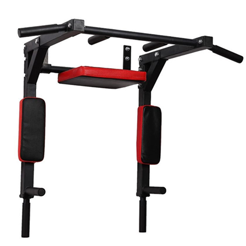Heavy Duty Wall Mounted Parall - Home Gym Wall 评论和价格