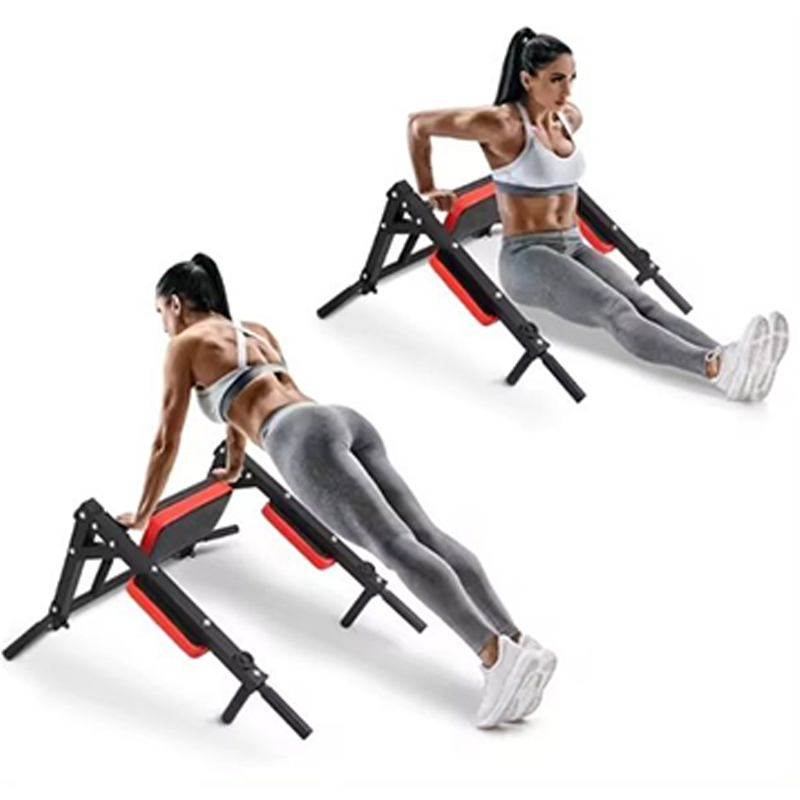 Heavy Duty Wall Mounted Parall - Home Gym Wall 评论和价格