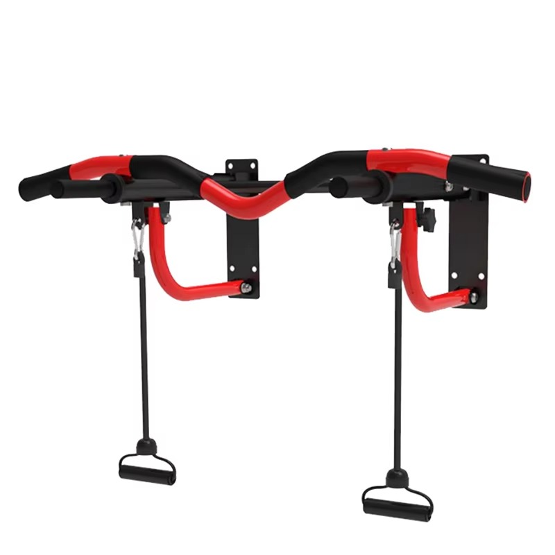Home Gym Indoor Upper Body Wor - Home Gym Wall 评论和价格