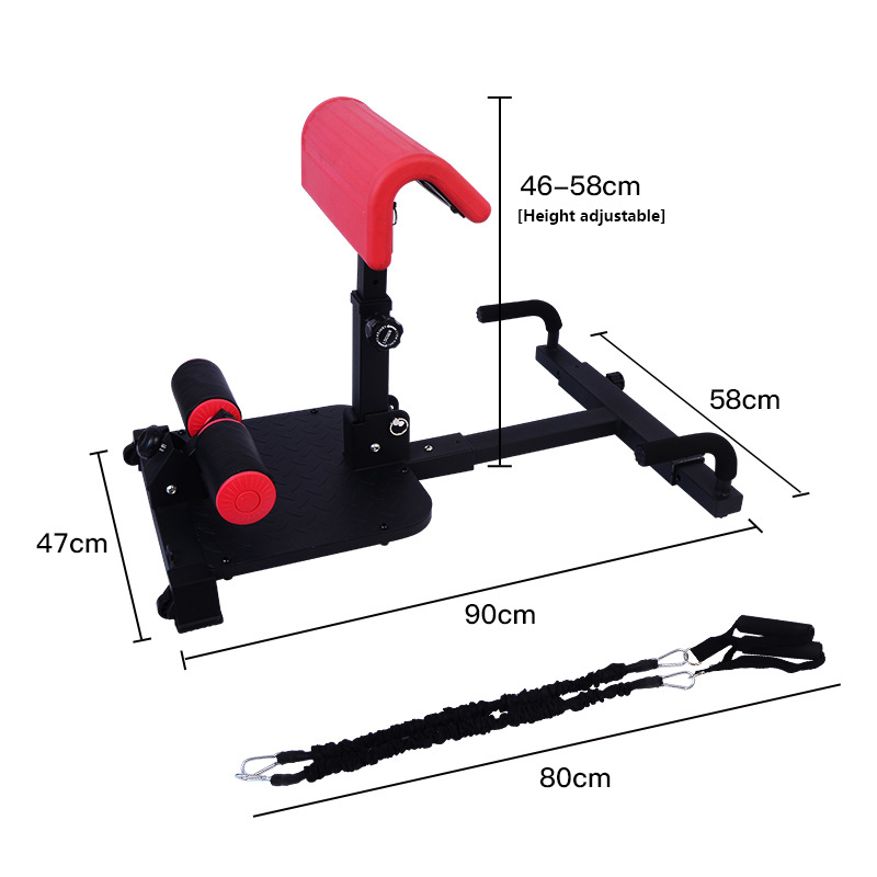 Sissy Squat Machine 3-in-1 Hom - Home Gym Quad 评论和价格